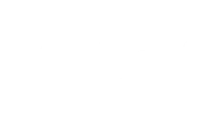 Premium Entertainment Logo